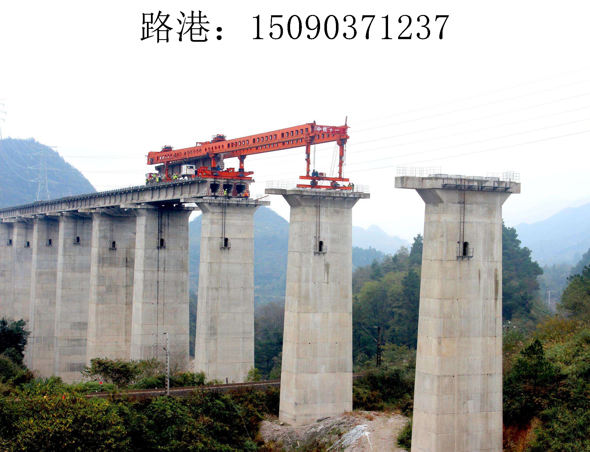 1237路港架橋機219